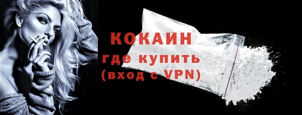 гашик Зеленокумск