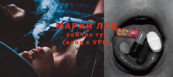 гашик Зеленокумск