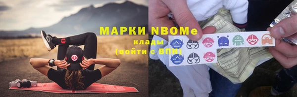 гашик Зеленокумск