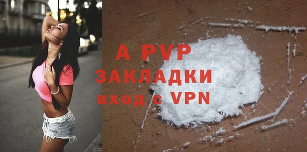 гашик Зеленокумск