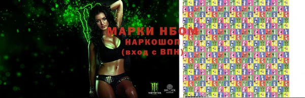 гашик Зеленокумск
